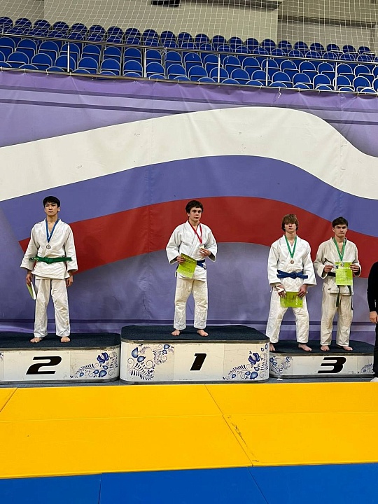 Первенство Раменского муниципального округа по дзюдо