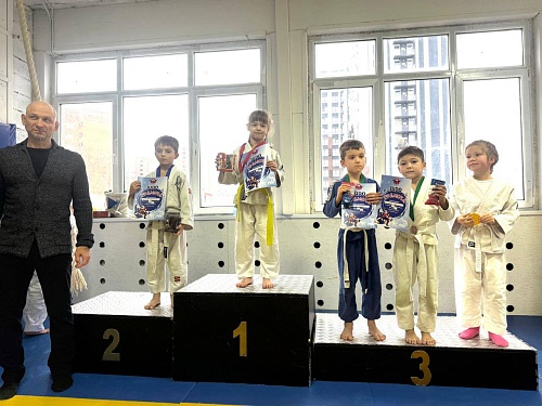 Новогодний турнир по дзюдо 