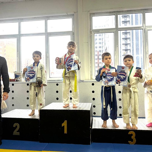 Новогодний турнир по дзюдо 