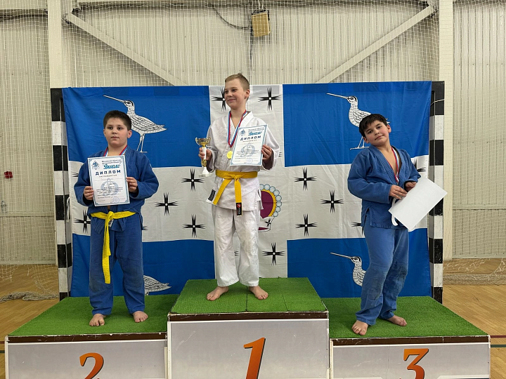 Первенство Дмитровского городского округа по дзюдо среди мальчиков и девочек до 13 лет, посвящённое Дню защитника Отечества