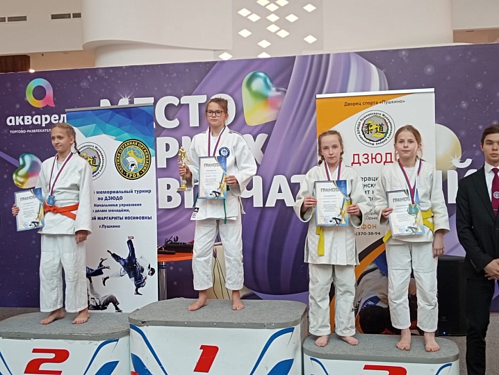 Кубок Главы Пушкинского городского округа по дзюдо, посвященный памяти начальника отдела по Молодежной политике и спорту Пушкинского района М.И. Кирьяновой.