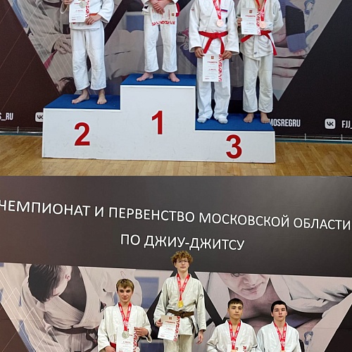 Первенство Московской области по джиу-джитсу среди юношей и девушек